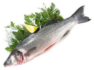 Frischer Fisch mit Kräuter - Wolfsbarsch Isoliert