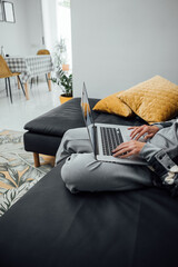 Close up of Cropped shot of woman's hands typing on laptop. Female freelancer working at the living room. Cozy Living Room with Modern Interior with Plants, Coffee Table and terrace. 