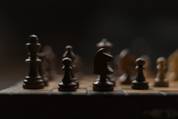 Chess board with checkers, pawns, knights, rooks, bishops, queen and kingblack and white colors