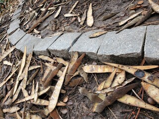 pile of firewood