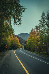 Obraz premium The road leading to the mountains among autumn trees and yellow foliage