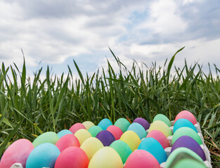Easter still life with colored eggs