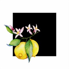 Watercolor illustration of constructivism yellow lemon with flower on a black square