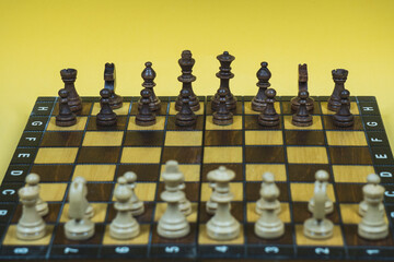 Chess board with checkers, pawns, knights, rooks, bishops, queen and kingblack and white colors