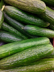 lot of cucumber in the market closeup photo