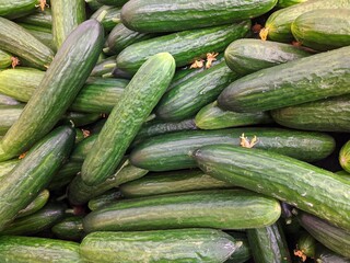 lot of cucumber in the market closeup photo