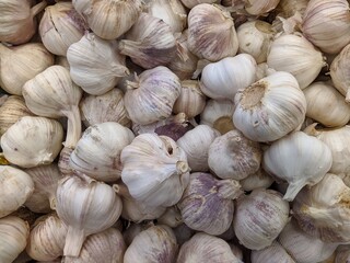 lot of garlic in the market closeup photo