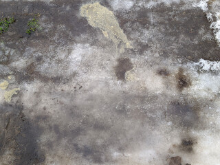 melted dirty snow on city streets photo in the daytime