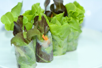 salad rolls fresh food organic nature green
