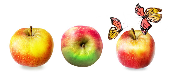 Color apple on white background