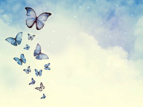 Color sky with clouds and butterflies as background