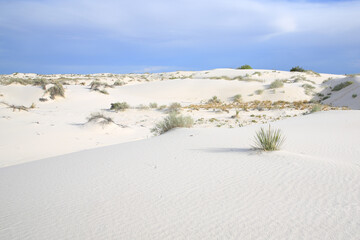 White Sands National Monument in New Mexico, USA