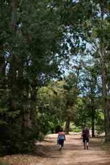 Fototapeta na wymiar mom and dad walking between the trees