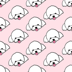Maltese poodle dog seamless pattern vector illustration. Cute white Maltese face on pink background
