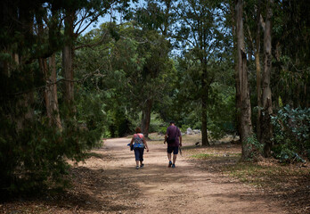 mom and dad walking between the trees