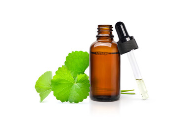 Gotu Kola Extract in amber bottle with fresh leaves isolated on white background.