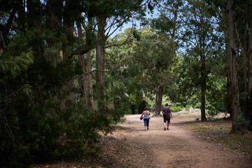 Fototapeta premium mom and dad walking between the trees
