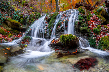 Obraz na płótnie Canvas Waterfall in the forest