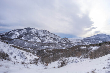 Winter landscape