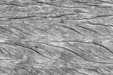beautiful, black and white wood texture