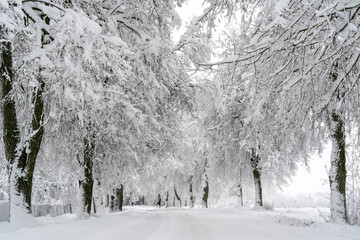 Country road after a heavy snowfall