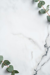 Frame made of eucalyptus leaves on marble background. Wedding invitation card mockup, minimal style. © photoguns