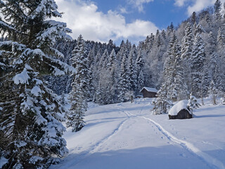 Fototapeta na wymiar Ski track in a snowy winter landscape