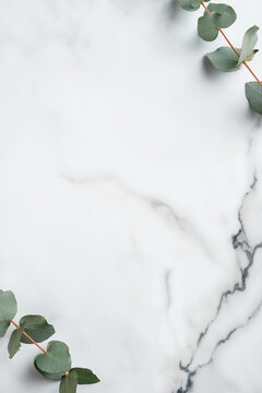 Frame made of eucalyptus leaves on marble background. Wedding invitation card mockup, minimal style.
