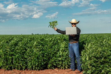 Young agronomist wearing a hat and notebook in the soy field