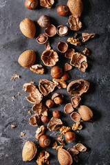 Varieties of nuts: almonds, hazelnuts and walnuts