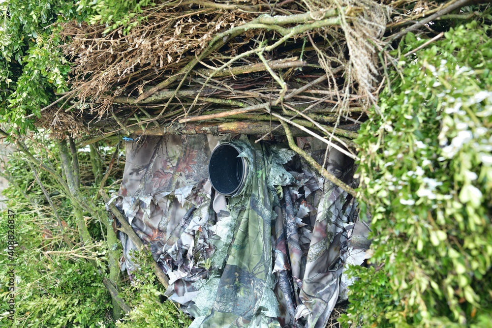 Wall mural a view of a camouflaged lens in the bushes when photographing wildlife