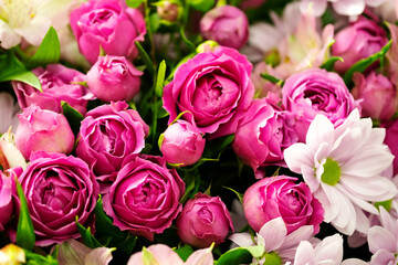 Pink roses with chrysanthemum