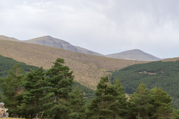 mountainous landscape in Sierra Nevada,