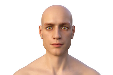 Portrait of a healthy man, 3D illustration