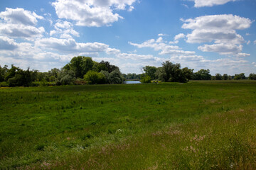 Fototapeta premium View of healthy nature on the river Mulde taken from the Mulderadweg cycle path between the cities of Grimma and Wurzen, Germany, Europe