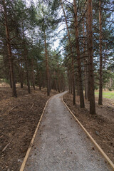 Fototapeta premium pedestrian dirt road in Sierra Nevada