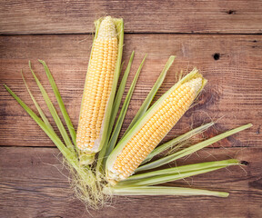Corn on the cob on a wooden background. View from another angle in the portfolio.