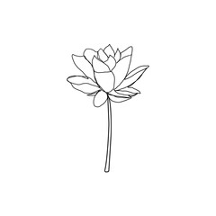 Abstract one line flower logo. Simple peony drawing minimalist botanical art illustration, vector continuous line sketch