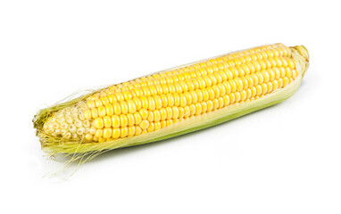 Corn on the cob isolated on a white background. View from another angle in the portfolio.