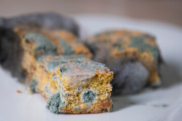 Close-up photo of corn bread covered with multicolored mold on plate. Best before date has expired. Mold growing rapidly.