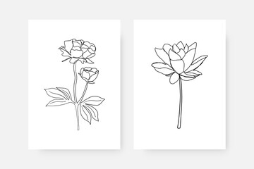 Continuous line flower posters. Abstract set of wall decor with one line botanical drawing minimalist simple style. Vector art
