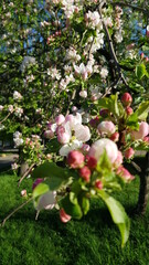 Summer photos in park in Moscow on 2020