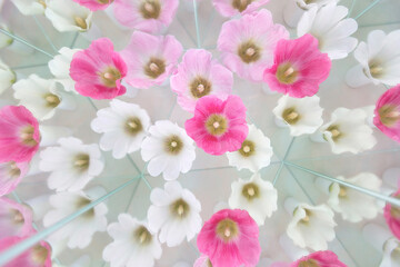 Floral background with althaea malva. Aesthetics light floral image with mirror kaleidoscope effect. 