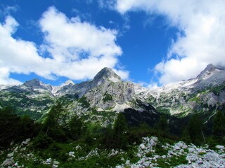Fototapeta na wymiar Scenic view of mountain Miseljski vrh above Velo polje in Julian alps and Triglav national park, Slovenia