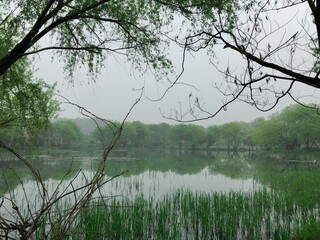 China Hangzhou－April, 2015: Ancient architecture and natural scenery in Hangzhou, China. Photo taken in West Lake Cultural Landscape, Lingyin Temple, Leifeng Pagoda and Hefang Street. 