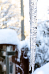 Naklejka premium icicle and blurred snow-covered fence of village house on background on cold winter day (focus on the icicle on foreground)
