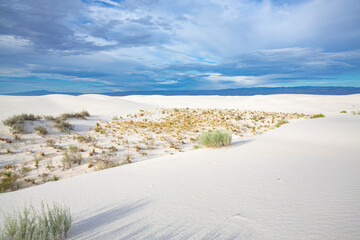 White Sands National Monument in New Mexico, USA