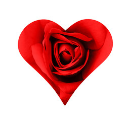 Rotes Rosen-Herz zum Valentinstag