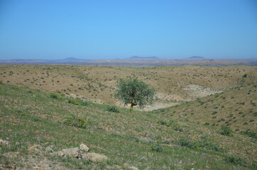 Fototapeta premium Kuiseb Canyon, Namibia