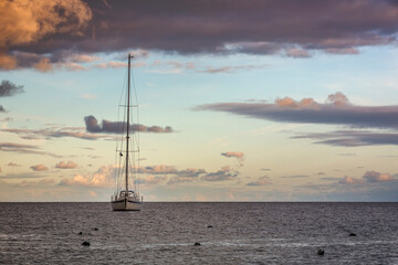 sunset over the sea with seals